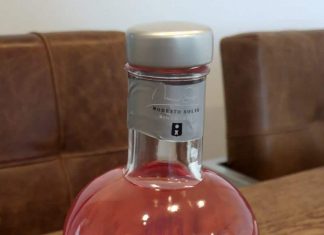 Testbericht 5th Gin Fire
