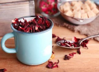 Hibiskus als Gin Tonic Gewürz