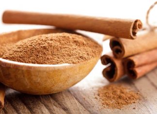 Zimt als Gin Tonic Gewürz