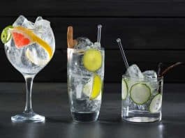 Gin Tonic – Gin Cocktail
