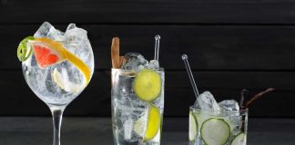 Gin Tonic – Gin Cocktail