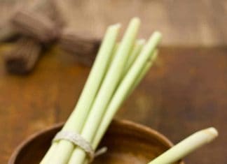 Zitronengras als Gin Tonic Gewürz