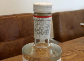 Testbericht The Botanist Dry Gin