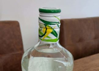 Testbericht Gordon’s Gin Crisp Cucumber Gin