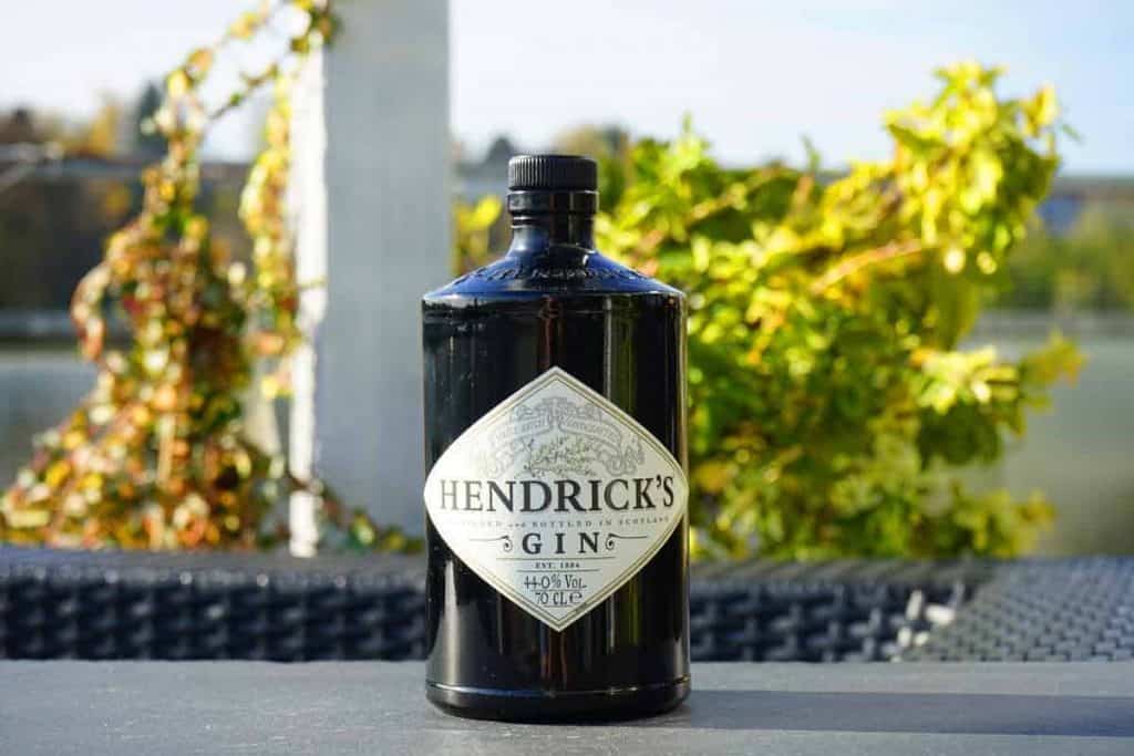 Auf einem Tisch im Freien steht eine Flasche Hendricks Gin, im Hintergrund sind an einem sonnigen Tag grünes Laub und Wasser verschwommen zu sehen.