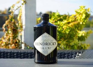 Testbericht Hendrick’s Gin