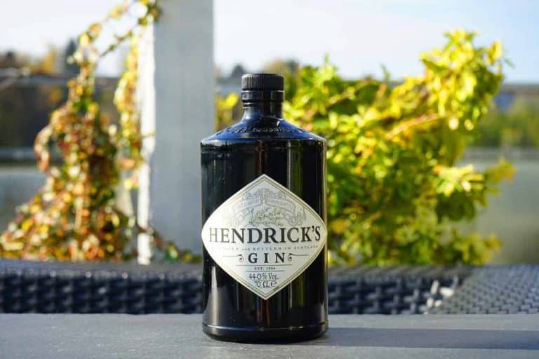 Auf einem Tisch im Freien steht eine Flasche Hendricks Gin, im Hintergrund sind an einem sonnigen Tag grünes Laub und Wasser verschwommen zu sehen.