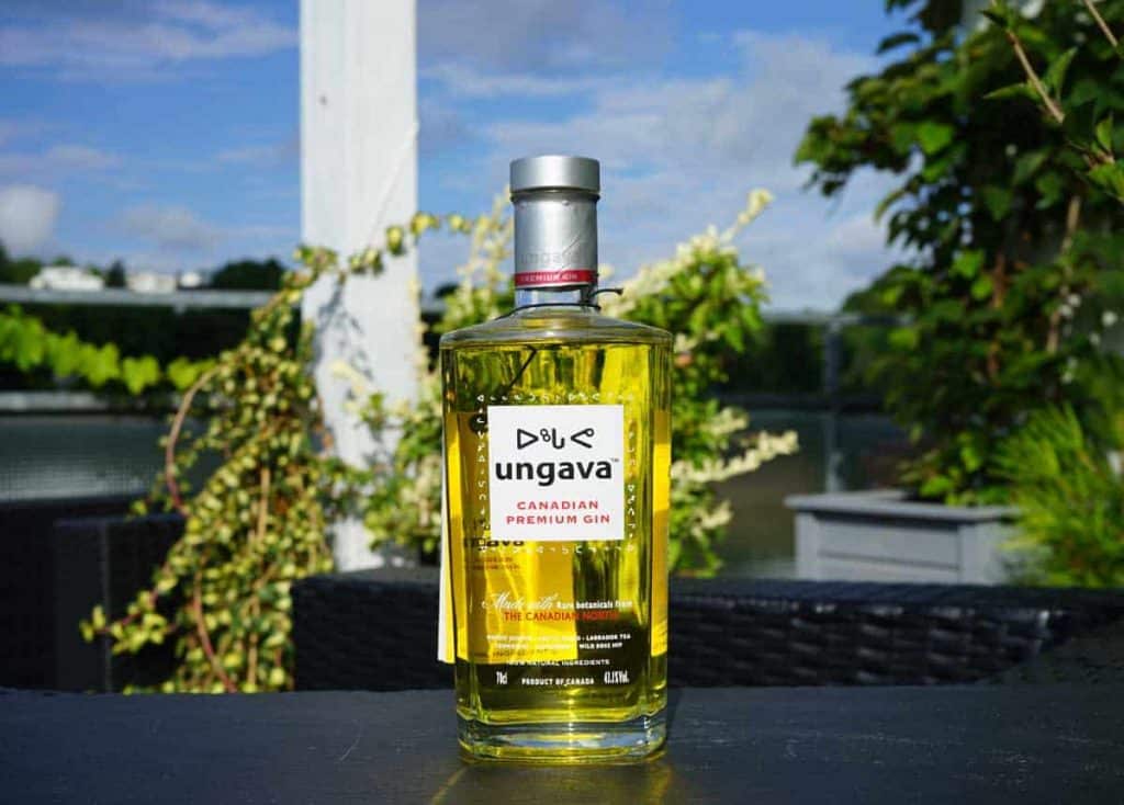 Eine Flasche „Ungava Canadian Premium Gin“ mit gelber Flüssigkeit steht im Freien auf einer dunklen Fläche, umgeben von grünen Pflanzen und vor einem verschwommenen Hintergrund aus Himmel und Bäumen.