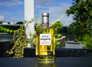 Testbericht Ungava Canadian Premium Gin
