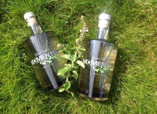 Interview Momentum German Dry Gin