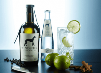 Interview Windspiel Gin