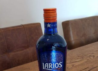 Testbericht Larios 12 Gin