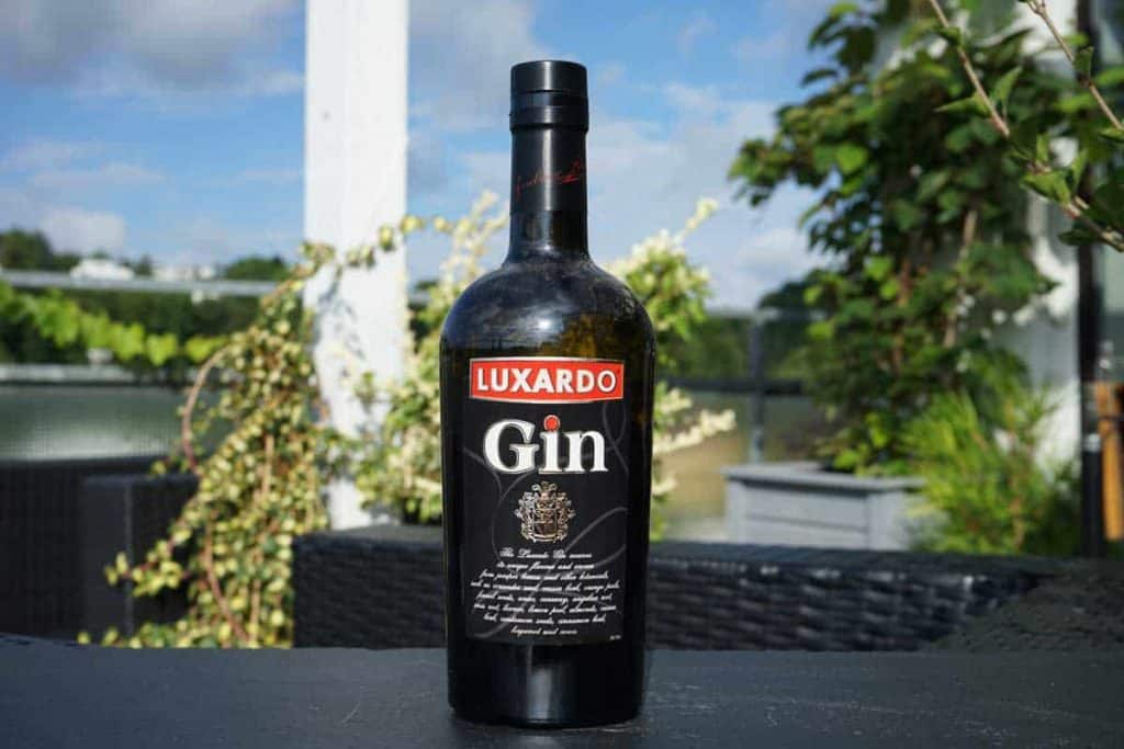 Auf einem Tisch im Freien steht eine Flasche Luxardo Gin, umgeben von Grünpflanzen und Terrassenmöbeln unter einem teilweise bewölkten Himmel.