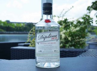 Testbericht Diplome Dry Gin