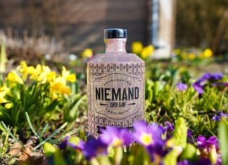 Testbericht Niemand Dry Gin