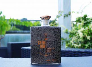 Testbericht Skin Gin German Dry Gin