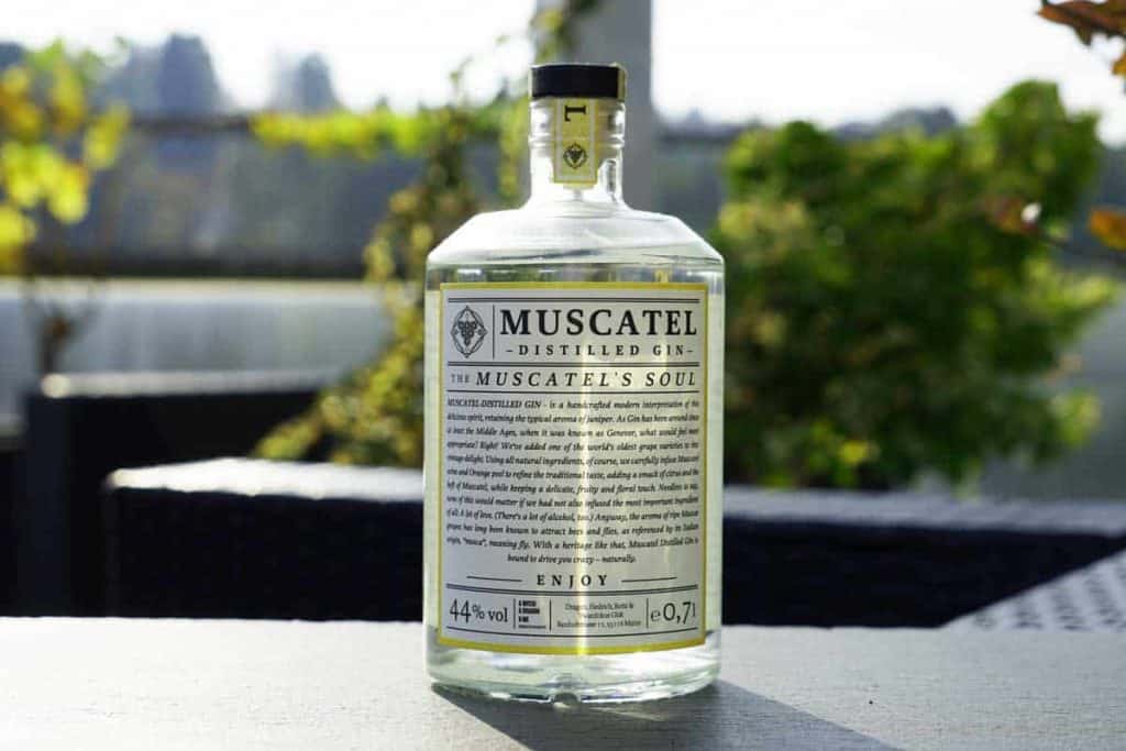 Auf einem Tisch im Freien steht eine durchsichtige Flasche Muscatel-Gin mit einem weißen Etikett, im Hintergrund sind Grünpflanzen und verschwommene Pflanzen zu sehen. Sonnenlicht fällt auf die Flasche und lässt den Text auf dem Etikett sowie die durchsichtige Flüssigkeit hervortreten.