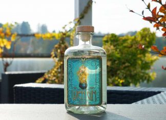 Testbericht Wien Gin