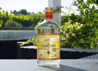 Testbericht Lord Cameron London Dry Gin