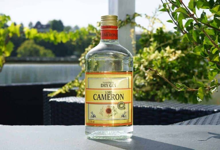 Auf einem Tisch im Freien steht eine Flasche „Lord Cameron Traditional Dry Gin“, im Hintergrund sind Grünpflanzen und eine verschwommene Wasserkulisse zu sehen.