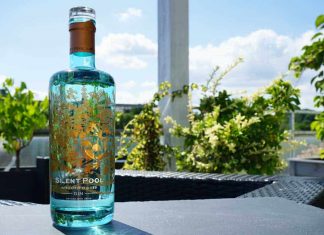 Testbericht Silent Pool Gin