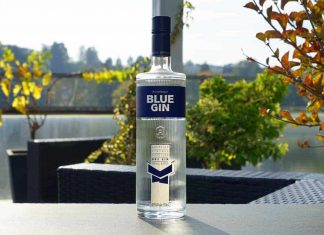 Testbericht Blue Gin
