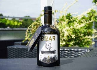 Testbericht BOAR Gin Blackforest Dry Gin