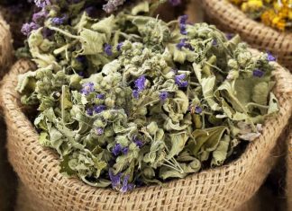 Malven Blüten als Gin Tonic Gewürz