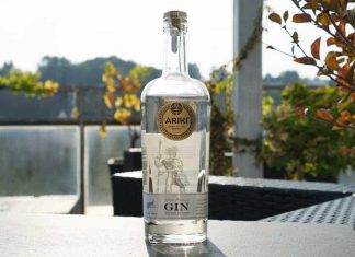 Testbericht Ariki Gin