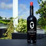 Testbericht Madame Geneva Gin