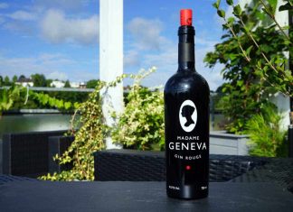 Testbericht Madame Geneva Gin