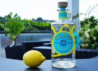 Testbericht Malfy Gin con Limone