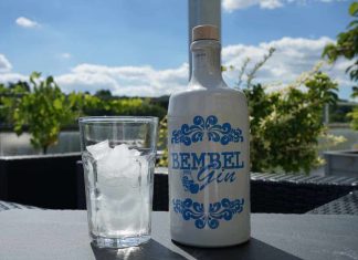 Testbericht Bembel Gin