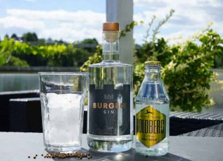 Testbericht Burgen Gin