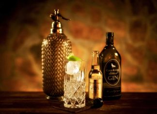 Die Gin Trends 2017