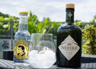 Testbericht Needle Blackforest Dry Gin