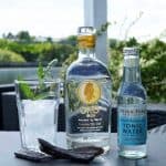 Testbericht Oro Ibiza Gin
