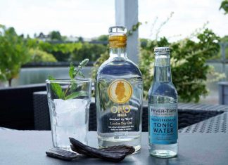 Testbericht Oro Ibiza Gin