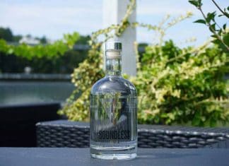 Testbericht Boundless Gin