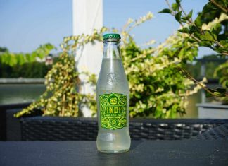 Testbericht Indi & Co Lemon Tonic