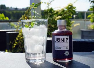 Testbericht Junip Natural Organic Flavour