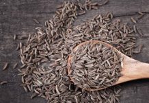 Kümmel als Gin Tonic Gewürz