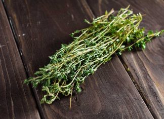 Thymian als Gin Tonic Gewürz