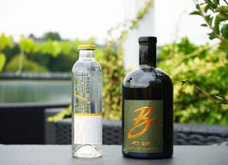 Testbericht B. MY Gin