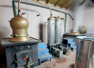 Herstellung von Neutralalkohol