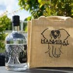 Testbericht Hannibal Gin Hesse Dry Gin