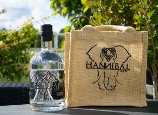 Testbericht Hannibal Gin Hesse Dry Gin