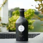 Testbericht Moon Gin