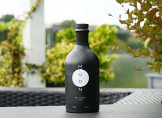 Testbericht Moon Gin