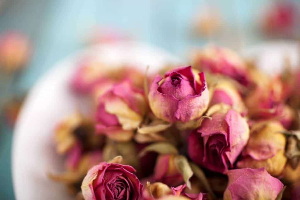 Eine Nahaufnahme von getrockneten rosa und gelben Rosenknospen in einer weißen Schale vor einem zartblauen Hintergrund. Die Blütenblätter sind zerknittert und verblasst, wodurch die Details ihrer gealterten Textur besonders hervortreten.